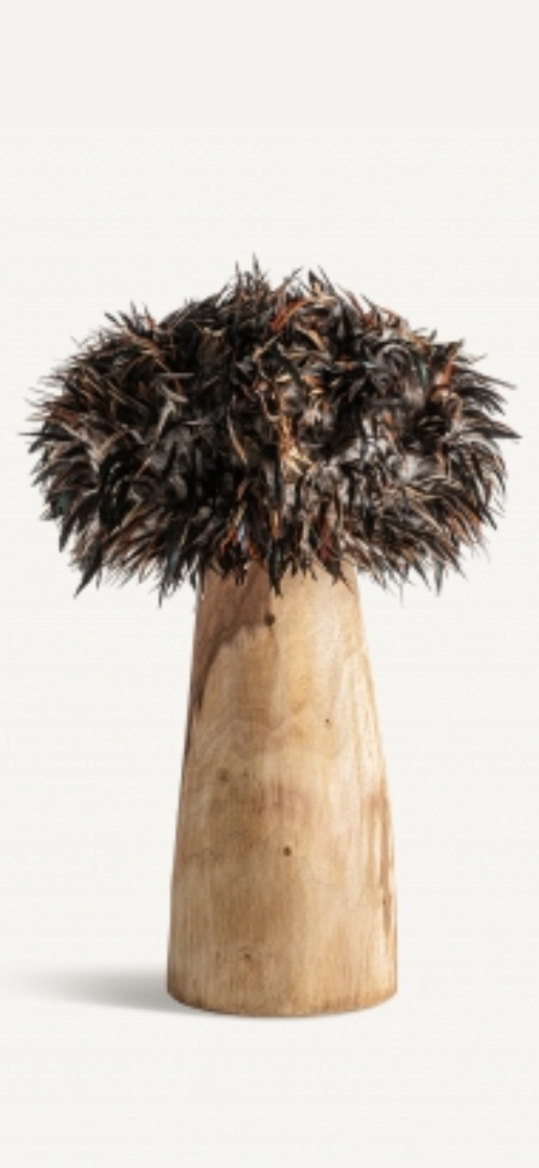 Lampada " Entanica "